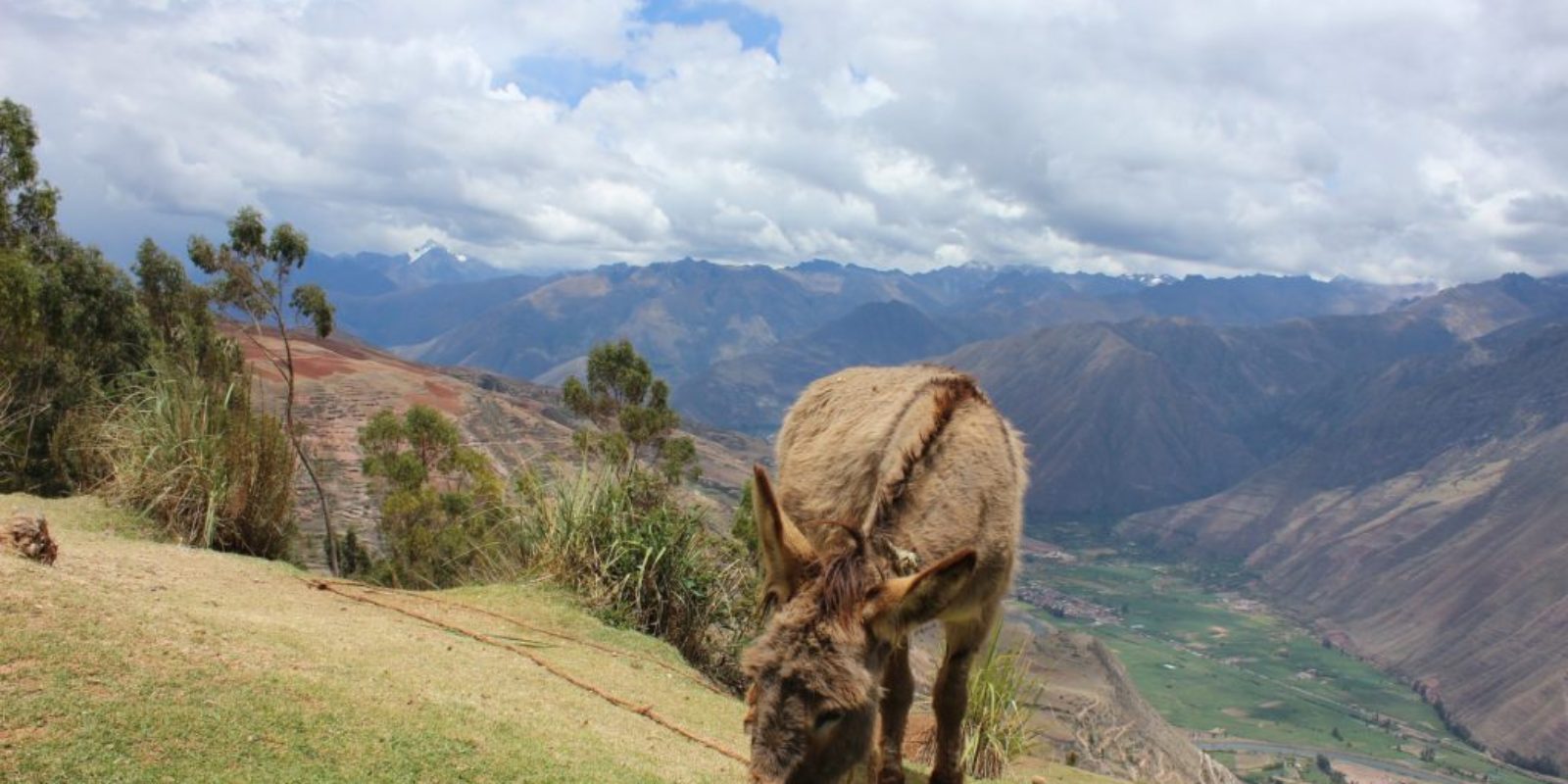 Peru's Sacred Valley is home to Machu Picchu - its most famous site - as well as Ollantaytambo, Salinas, and Moray. These archaeological ruins are best...