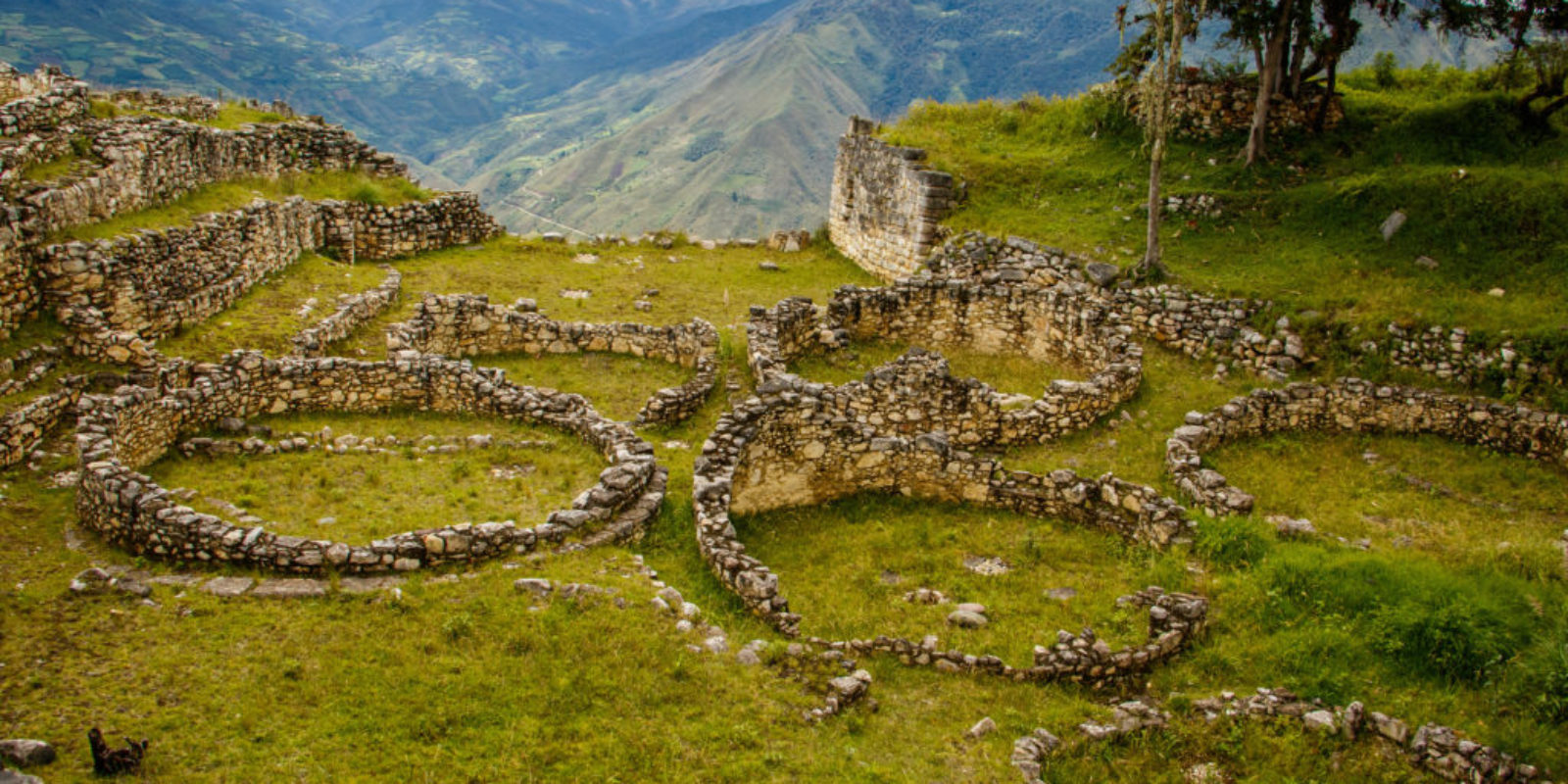 The Peruvian Amazon isn't the first thing that pops into the mind, but this remote and vast region is known for incredible biodiversity, enigmatic archae...