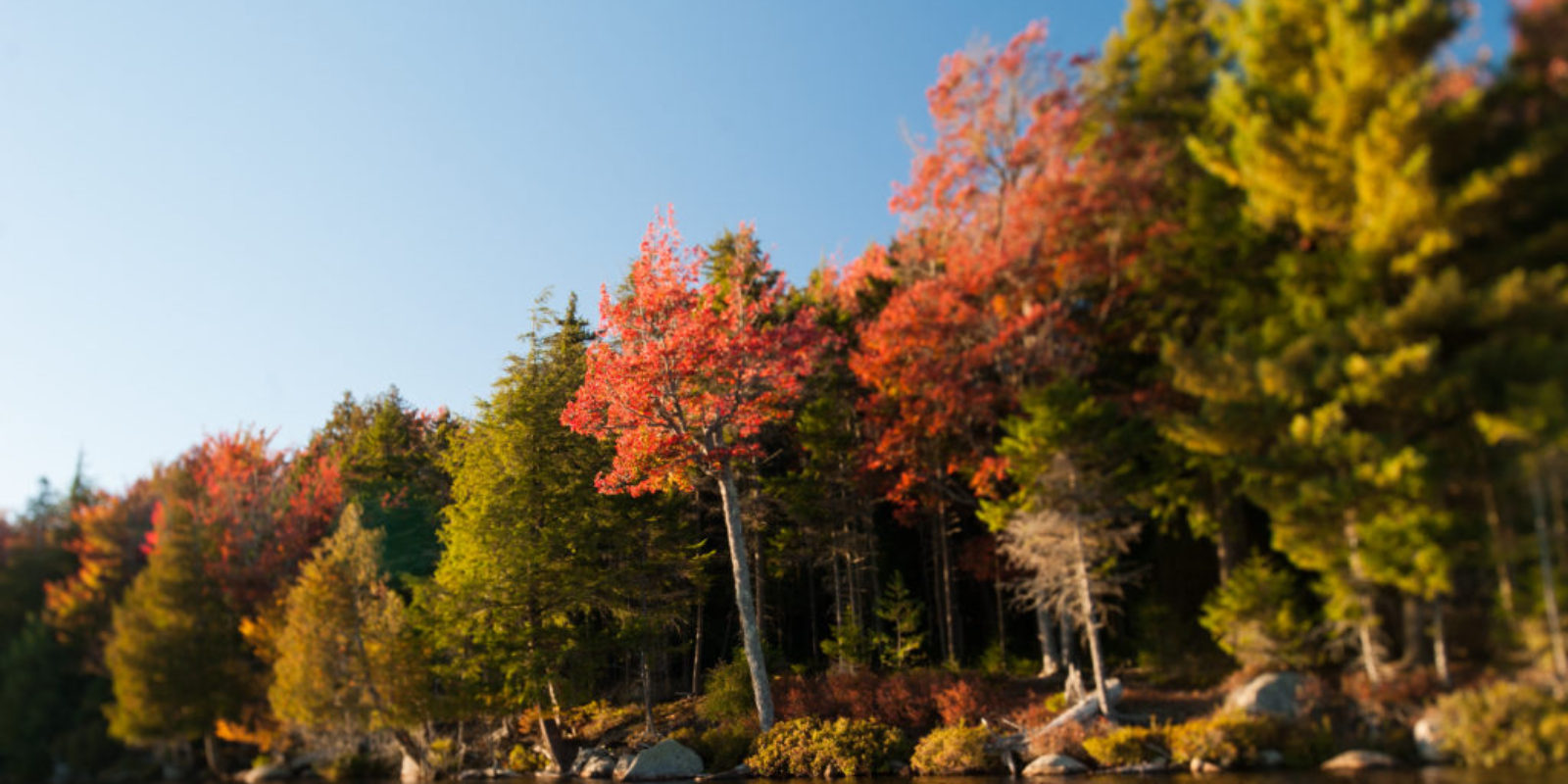 five virtuoso properties where you can enjoy beautiful fall foliage