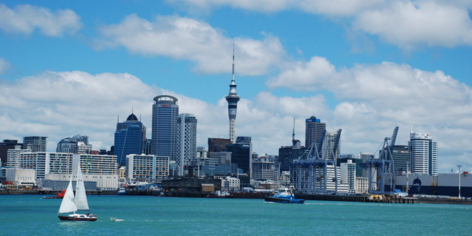 auckland nz