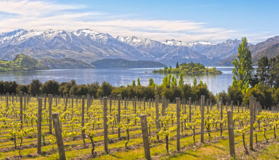 Why should you plan a romantic getaway in New Zealand? It's got incredible food and wine, great scenery, exciting and exclusive adventures, and some ...