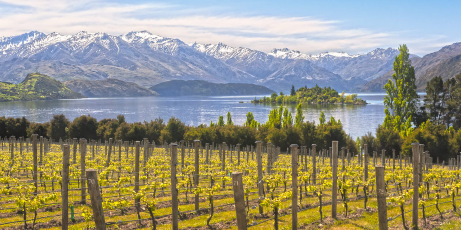 Why should you plan a romantic getaway in New Zealand? It's got incredible food and wine, great scenery, exciting and exclusive adventures, and some ...