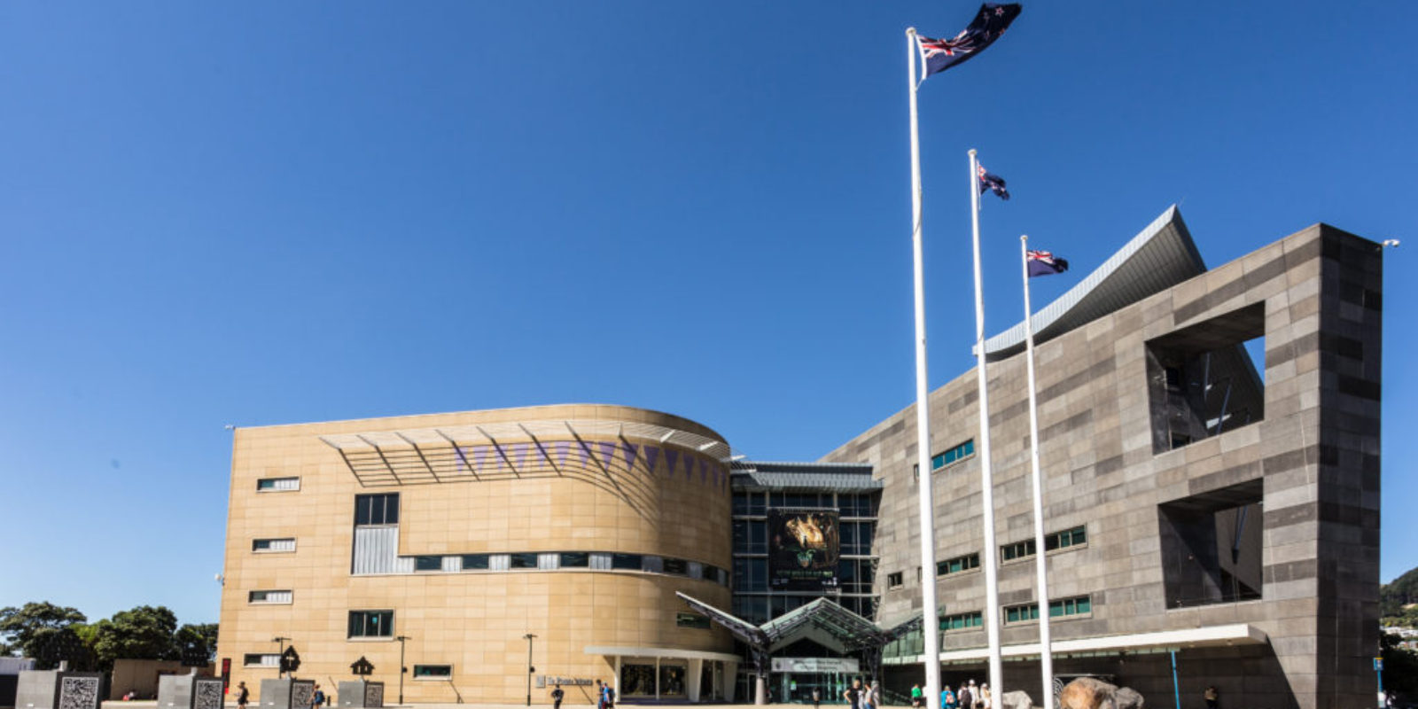 te papa wellington