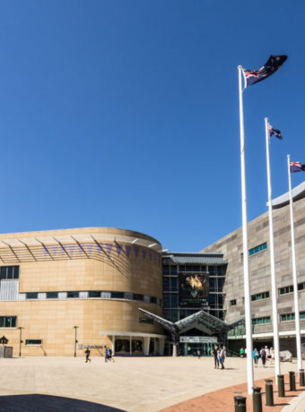 te papa wellington